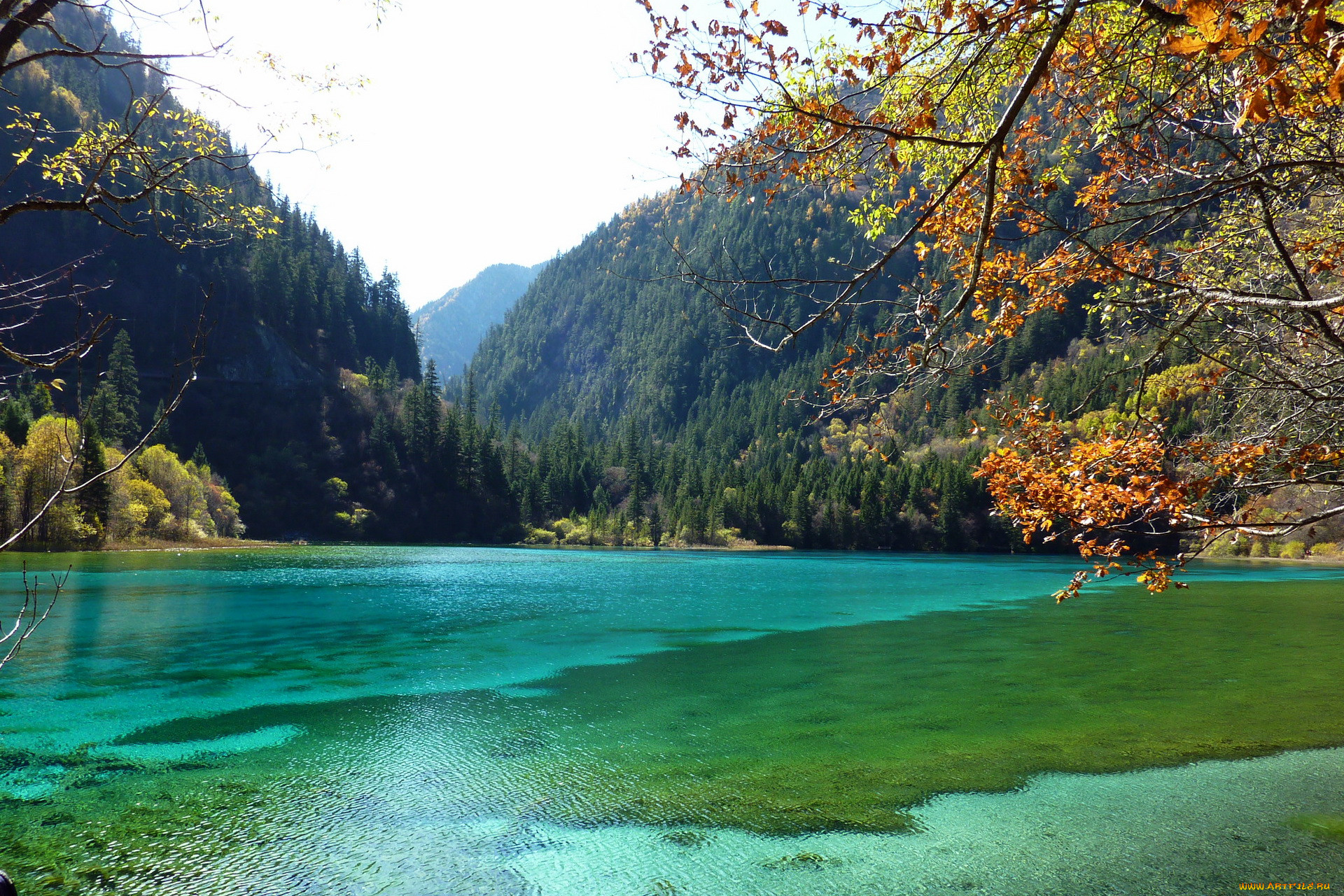 , jiuzhaigou, valley, panda, lake, , , , , , 